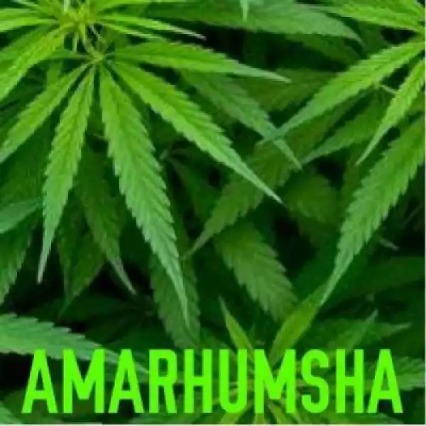 Amarhumsha - Khwela Sewubhatele